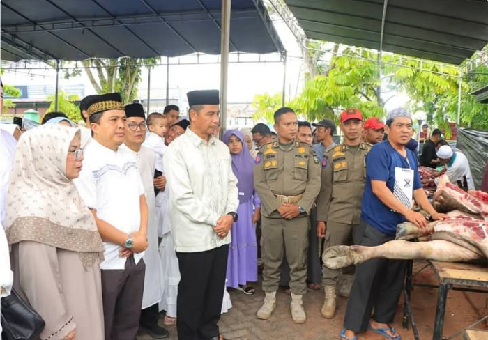 Usai Sholat Idul Adha, Bupati Kampar Saksikan Penyembelihan Hewan Qurban