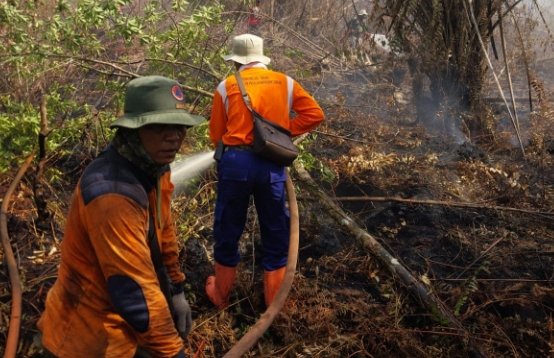 Penanggulangan Karhutla di Riau Jadi Contoh dalam Pertemuan BPBD se-Indonesia