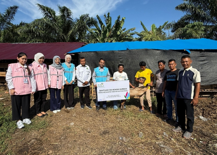 Wujud Kepedulian di Momen Idul Adha, PLN Nusantara Power UP Tenayan Salurkan 22 Ekor Hewan Kurban untuk Warga Ring 1