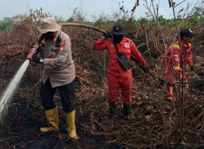 Antisipasi Kabut Asap, 5 Daerah di Riau Kompak Naikkan Status Jadi Siaga Karhutla