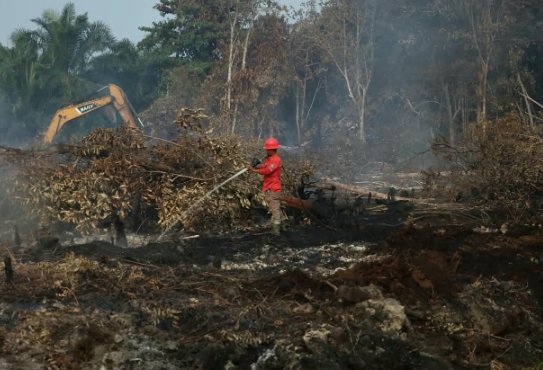 Karhutla Riau Mulai Mereda, BPBD Fokus Pemadaman di Bengkalis, Inhu, dan Inhil