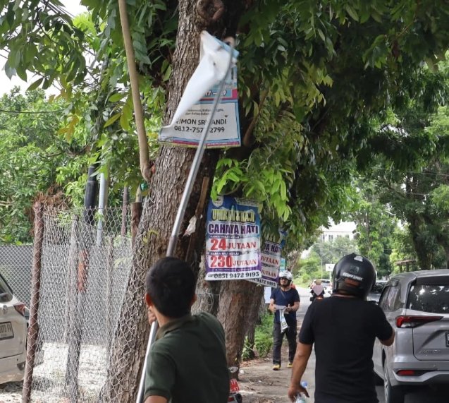 Ganggu Estetika Kota, Bapenda Pekanbaru Bongkar Iklan di Pohon