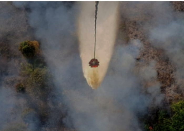 Water Bombing Jadi Senjata Andalan Padamkan Karhutla Gambut di Riau