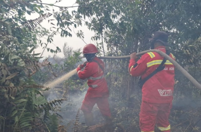 Perkuat Sinergi, BPBD Damkar Riau Gelar Rapat Koordinasi Penanganan Karhutla Lintas Daerah