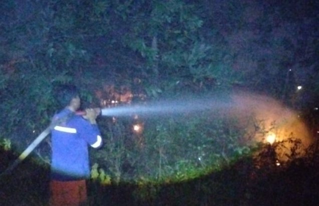 Bakar Sampah Diduga Picu Kebakaran Lahan di Tuanku Tambusai, BPBD Pekanbaru Gerak Cepat Kendalikan Api