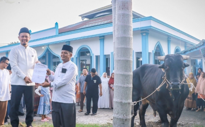 Wali Kota Pekanbaru Serahkan Sapi Kurban Idul Adha Bantuan Presiden RI