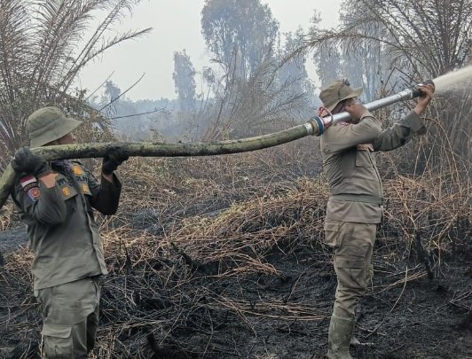 Mengurai Kabut Meretas Bara, Satpol PP Riau Berjuang di Hutan Dayun Siak