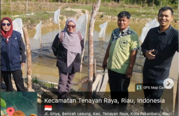 Bid Perikanan Distankan Pekanbaru Lakukan Kunjungan dan Monitoring Budidaya Ikan Patin di Tenayan Raya