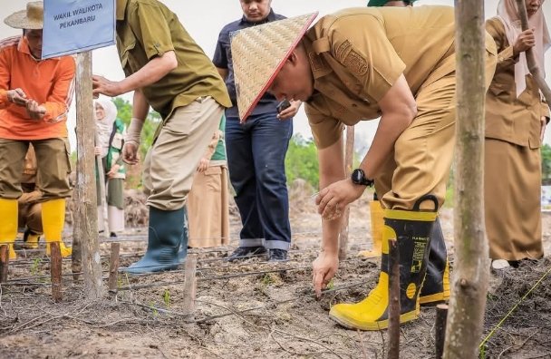 Manfaatkan Lahan Tidur, Wawako Apresiasi Kelompok Tani Agro Mandiri Sejahtera