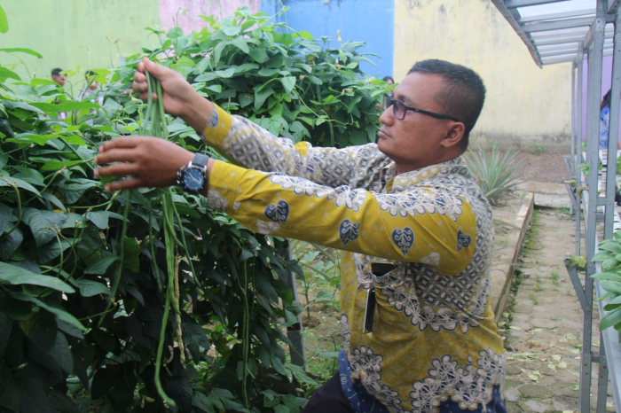 Panen Sayur Kangkung dan Kacang Panjang, Bukti Nyata Lapas Pekanbaru Terus Produktif dan Konsisten Dukung Program Ketahanan Pangan