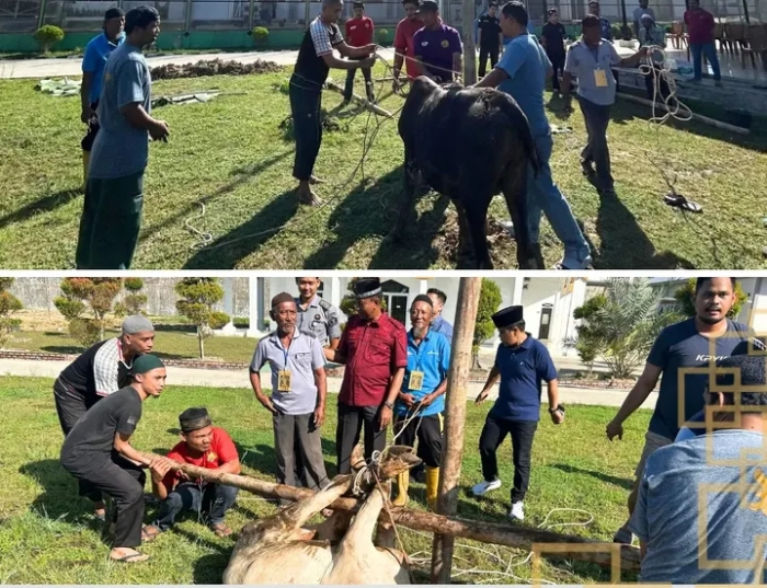 Lapas Narkotika Rumbai Gelar Penyembelihan Hewan Qurban Idul Adha