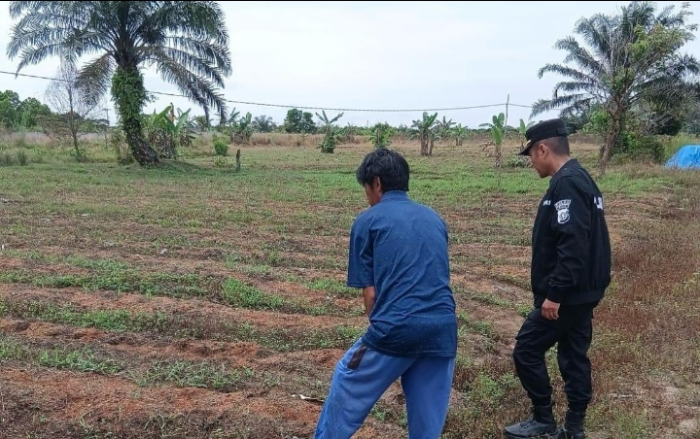 Dukung Ketahanan Pangan Warga, Binmas Polsek Payung Sekaki Cek Lahan Jagung Manis Warga