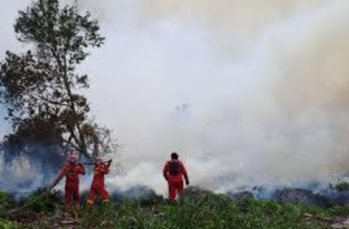 Empat Titik Karhutla di Riau Masih Ditangani, Tim Gabungan Bergerak Cepat Lakukan Pemadaman