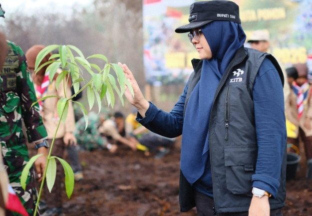 Bupati Afni Tanam Pohon di Lahan Bekas Karhutla upaya Penghijauan dan Menghindari Alih Fungsi Hutan