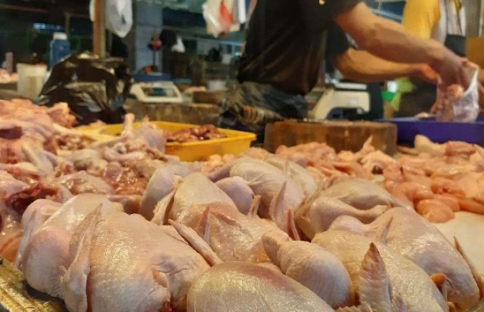 Harga Daging Ayam Tinggi, Pemko Pekanbaru Bakal Turun Lapangan Cari Penyebab Kenaikan