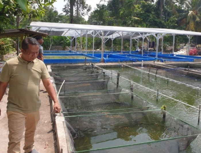 Dinas Pertanian dan Perikanan Kota Pekanbaru Laksanakan Monitoring Pembenihan Ikan di UPT Eko/Markam