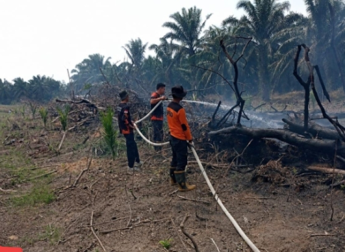 Resmi Dikeluarkan, Ini 6 Poin Penting Maklumat Forkopimda Riau Terkait Bahaya Karhutla