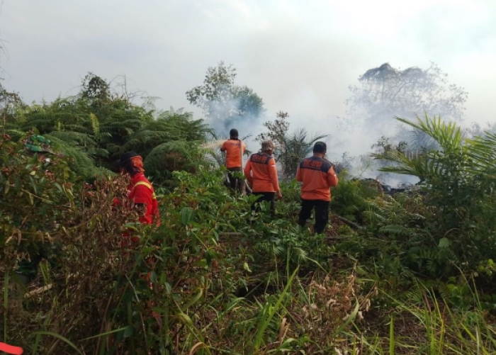 Tim Gabungan BPBD Riau Berjibaku Padamkan Karhutla di Pelalawan