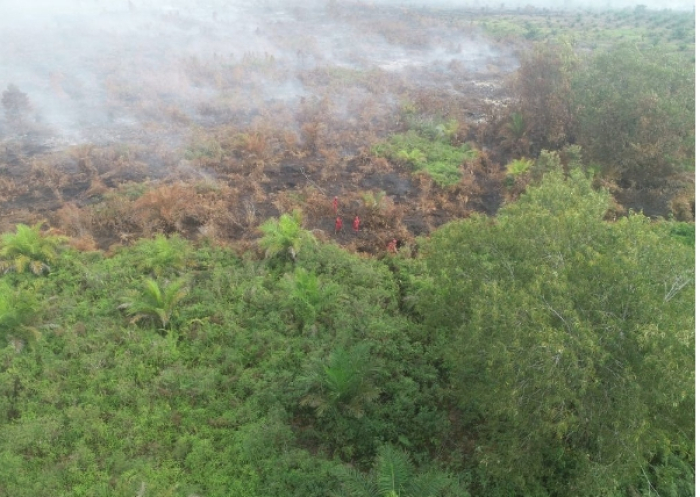 Sebanyak15 Titik Api Terpantau BPBD Riau, Bengkalis dan Pelalawan Masih Jadi Fokus Pemadaman