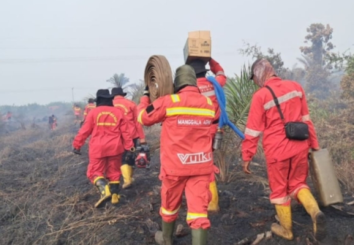 Kondisi Terkini Karhutla Riau: Tim Gabungan Masih Berjibaku di Tahap Pendinginan