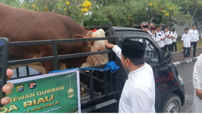 Polda Riau Salurkan 151 Sapi dan 48 Kambing Kurban ke Masjid dan Pesantren 