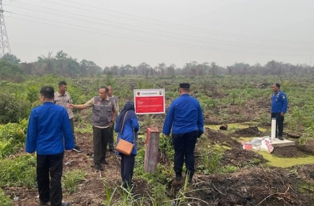 Sisir Lahan Eks Karhutla di Pekanbaru, BPBD Pastikan Tak Ada Lagi Api