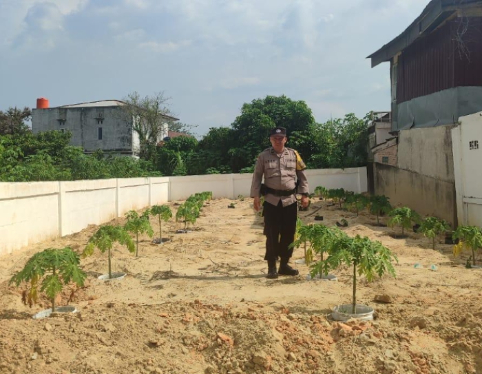 Babinkamtibmas Kelurahan Labuh Baru Barat Dukung Program Ketahanan Pangan Nasional