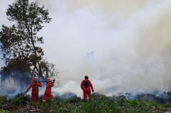 Status Siaga Karhutla Rampung, Riau Kini Diminta Sigap Hadapi Banjir dan Longsor