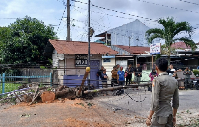 Pemko Pekanbaru Tegur Keras Operator Usai Tiang Fiber Optik Tumbang di Jalan Rindang
