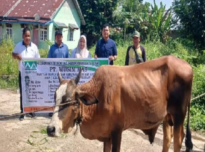 PT Musim Mas Salurkan Bantuan 19 Hewan Kurban Idul Adha kepada Warga dan Pekerja