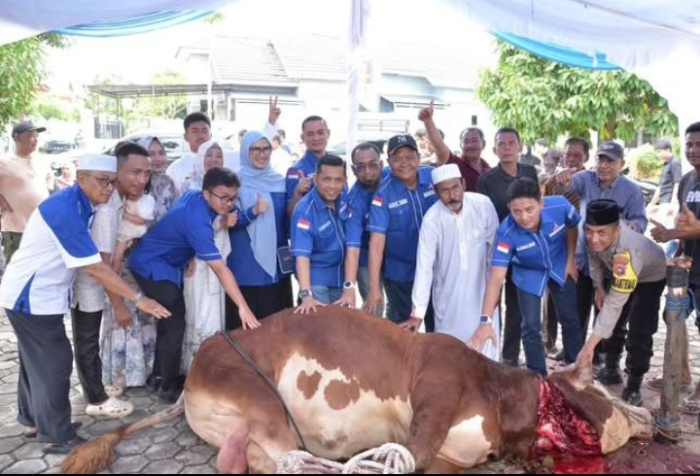 Rutin Setiap Tahun, DPC Demokrat Sembelih 85 Ekor Sapi dan 4 Ekor Kambing