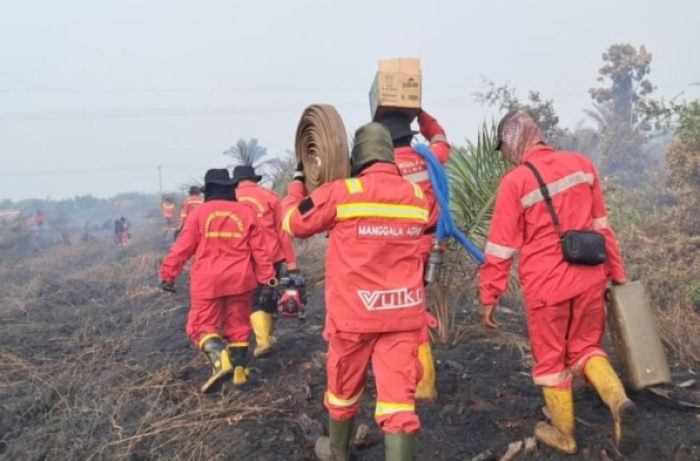 Pelalawan Siaga Darurat Karhutla, Riau Bersiap Tetapkan Status Tingkat Provinsi