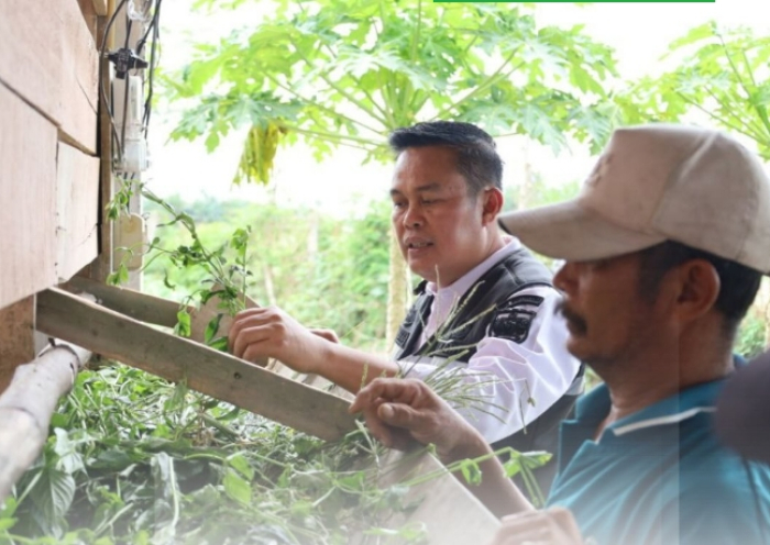 Kepala Dinas Pertanian dan Perikanan Kota Pekanbaru Lakukan Monitoring Bantuan Ternak Kambing