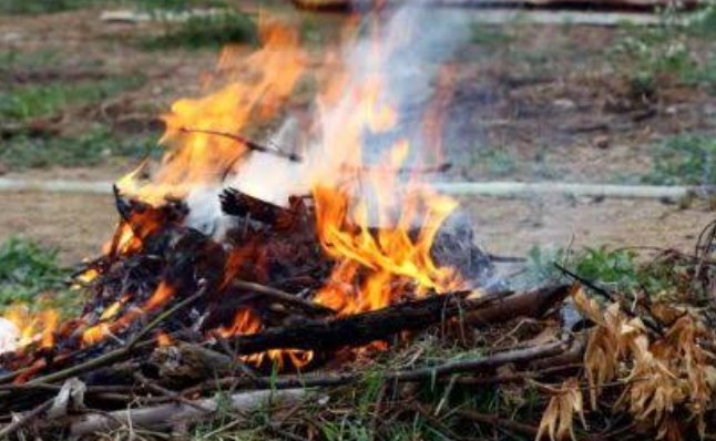 Berpotensi Picu Kebakaran Lahan, Pemko Pekanbaru Himbau Warga tak Bakar Sampah