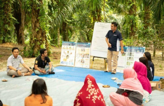 PT Musim Mas Lanjutkan Kerja Sama: Komitmen Terapkan Praktik Berkelanjutan di Industri Sawit.