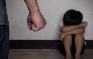 UPT PPA Dinas DP3PM Pekanbaru Tangani 96 Kasus Kekerasan Terhadap Anak
