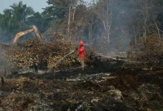 Karhutla Riau Mulai Mereda, BPBD Fokus Pemadaman di Bengkalis, Inhu, dan Inhil