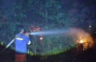 Bakar Sampah Diduga Picu Kebakaran Lahan di Tuanku Tambusai, BPBD Pekanbaru Gerak Cepat Kendalikan Api