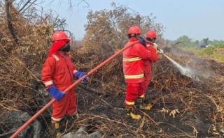 Langkah Dini Cegah Karhutla Meluas di Pelalawan, PT Musim Mas Ambil Peran Aktif