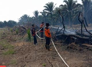 Resmi Dikeluarkan, Ini 6 Poin Penting Maklumat Forkopimda Riau Terkait Bahaya Karhutla