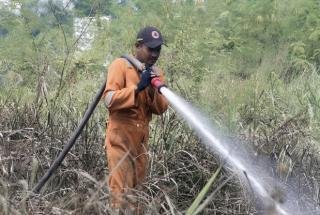 BPBD Pekanbaru Pastikan Titik Api Nihil